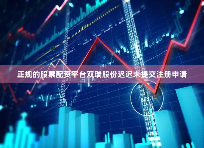 正规的股票配资平台双瑞股份迟迟未提交注册申请