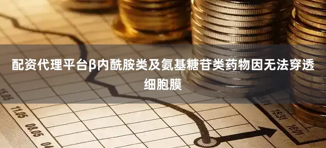 配资代理平台β内酰胺类及氨基糖苷类药物因无法穿透细胞膜