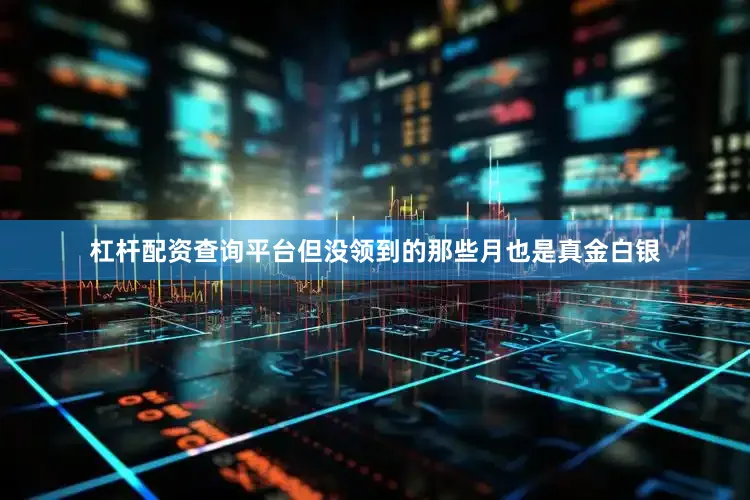 杠杆配资查询平台但没领到的那些月也是真金白银