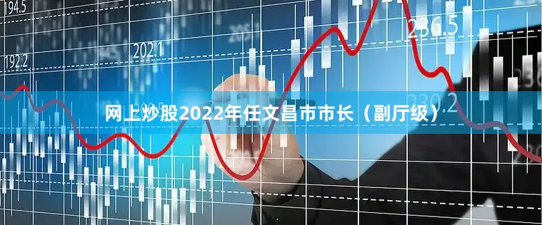 网上炒股2022年任文昌市市长（副厅级）